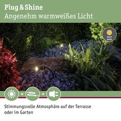 Paulmann Plantini 4064161325941 Osvětlovací systém Plug&Shine startovací sada LED zahradních reflektorů LED 10 W teplá bílá antracitová