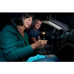 Osram Automotive lampa na čtení, Vnitřní LED osvětlení do auta 4052899077287 ONYX COPILOT® M-7 LED 12 V, 24 V (d x š x v) 370 x 26 x 10 mm flexibilní krk,