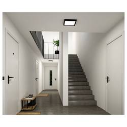Paulmann Abia 71302 LED panel 14 W teplá bílá černá