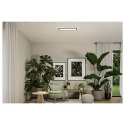 Paulmann Atria Shine 71313 LED panel 15.2 W teplá bílá černá