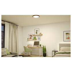 Paulmann Abia 71305 LED panel 16 W teplá bílá černá