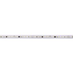 Deko Light 840391 Kompletní sada LED pásku Energetická třída (EEK2021): F (A - G) konektor 240 V/AC 50000 mm teplá bílá 50 m