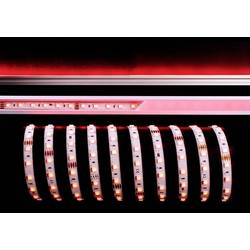 Deko Light 840254 LED pásek volný konec 24 V/DC 5000 mm RGB 5 m