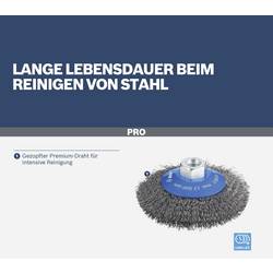 Bosch Accessories Kuželový kartáč - 100 mm, 0,3 mm, M14 Bosch Power Tools 2608622057 1 ks
