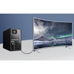 Renkforce DisplayPort / HDMI propojovací kabel Konektor DisplayPort, Zástrčka HDMI-A 2.00 m černá UHD 8K @ 60 Hz, UHD 4K @ 120 Hz RF-4995156 Kabel DisplayPort