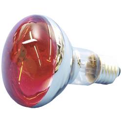 Eurolite 9210360U žárovka E27 žárovka 60 W červená (Ø x d) 80 mm x 110 mm 1 ks