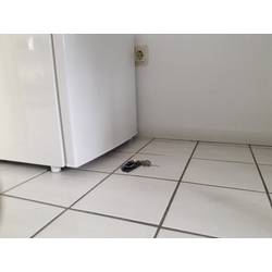 Gardigo mouse-trap, 62341, past na myši 2 ks, funkce: feromon