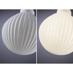 Paulmann 29078 LED Energetická třída (EEK2021) F (A - G) E27 Kulové svítidlo lampionové 4.3 W teplá bílá (Ø x v) 125 mm x 175 mm 1 ks
