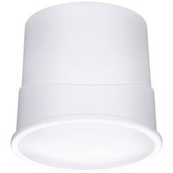 Paulmann 92469 Base Coin LED osvětlení na stěnu/strop, třída F (A - G), LED, 4.9 W, saténová
