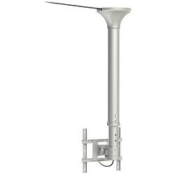 Neomounts FPMA-C200 TV stropní držák 25,4 cm (10) - 101,6 cm (40) naklápěcí, nakláněcí, otočný, nastavitelná výška
