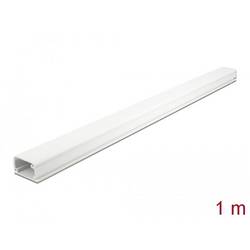 Delock Kabelová lišta PVC bílá (d x š x v) 1 m x 35 mm x 20 mm 1 ks 20722