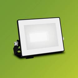 Philips LED Lois 929004641501 venkovní LED reflektor 10 W Barvy světla (LED svítidlo): studená bílá