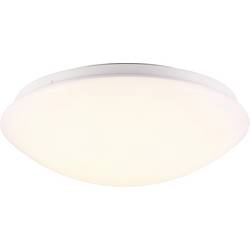 Nordlux Ask 45356001 venkovní stropní osvětlení 12 W N/A bílá