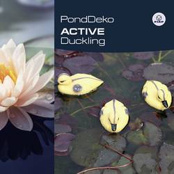 FIAP 2332 Deco Active Duckling dekorativní figurka kachně plast