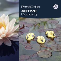 FIAP 2332 Deco Active Duckling dekorativní figurka kachně plast