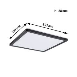 Paulmann Atria Shine 71001 LED stropní svítidlo 16 W teplá bílá černá