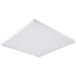 Paulmann Velora Rainbow 79906 LED stropní svítidlo 31.00 W teplá bílá bílá