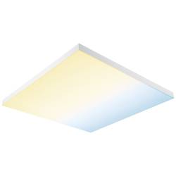 Paulmann Velora Rainbow 79906 LED stropní svítidlo 31.00 W teplá bílá bílá
