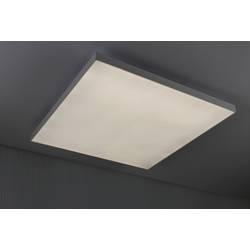 Paulmann Velora Rainbow 79906 LED stropní svítidlo 31.00 W teplá bílá bílá
