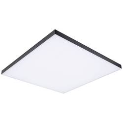 Paulmann Velora Rainbow 79909 LED stropní svítidlo 31.00 W teplá bílá černá