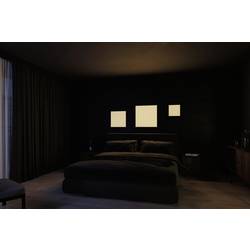 Paulmann Velora Rainbow 79909 LED stropní svítidlo 31.00 W teplá bílá černá