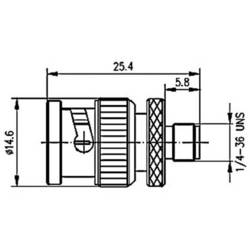 Telegärtner 100023637 100023637 BNC adaptér BNC zástrčka - SMA zásuvka 1 ks