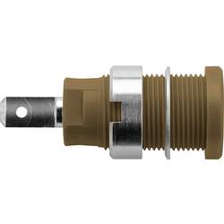 Schützinger DI SEB 6450 Ni / BR bezpečnostní vestavná zásuvka 4 mm hnědá 1 ks Piece