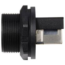 TRU COMPONENTS TC-13543656, zásuvkový modul RJ45, černá, 1 ks