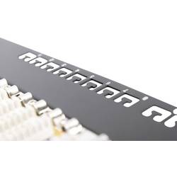 Digitus DIGITUS - CAT 6, Klasse E Patch Panel 16 portů síťový patch panel 483 mm (19) CAT 6 1 U vícebarevná osazený