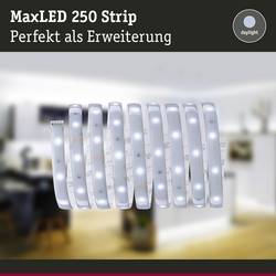 Paulmann 79875 LED pásek konektor 2.5 m denní bílá 2.5 m