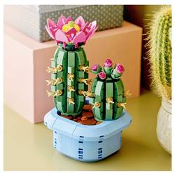 11509 LEGO® Botanicals™