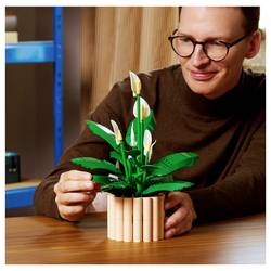 11504 LEGO® Botanicals™