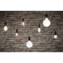 Paulmann 28728 LED Energetická třída (EEK2021) F (A - G) E14 kapkový tvar 5 W = 40 W neutrální bílá (Ø x v) 45 mm x 78 mm stmívatelná 1 ks