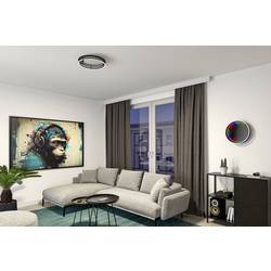 Paulmann 71056 Spaceglow LED stropní svítidlo LED pevně vestavěné LED 34.5 W černá (matná)