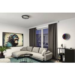Paulmann 71056 Spaceglow LED stropní svítidlo LED pevně vestavěné LED 34.5 W černá (matná)