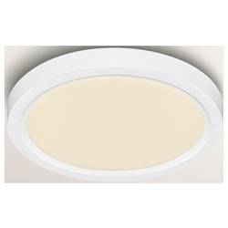 OSRAM HOMELIGHTING 4099854604188 stropní svítidlo, LED stropní svítidlo LED bílá