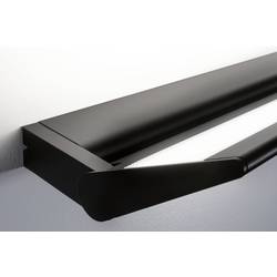 Paulmann Ranva 79507 nástěnné světlo 13 W LED černá (matná)