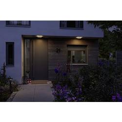 Paulmann 94709 Lamina PIR 2200K eck. schwarz LED stropní svítidlo 14 W černá