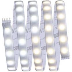 Paulmann MaxLED Tunable White 70623 LED pásek základní sada konektor 24 V 1.5 m teplá bílá, neutrální bílá, denní bílá 1 ks