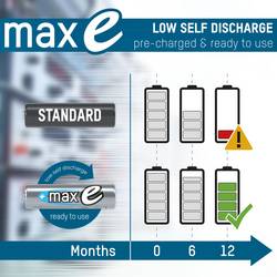 Ansmann maxE akumulátor velké mono D Ni-MH 10000 mAh 1.2 V 2 ks