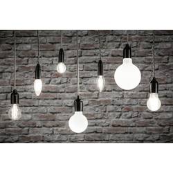 Paulmann 28917 LED Energetická třída (EEK2021) F (A - G) E14 kapkový tvar 4.8 W = 40 W neutrální bílá (Ø x v) 45 mm x 78 mm 1 ks