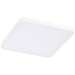 Paulmann 79942 LED panel vestavný 8.5 W teplá bílá bílá
