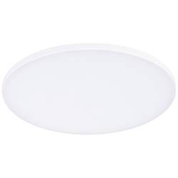 Paulmann 79946 LED panel vestavný 17 W teplá bílá bílá