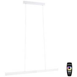 Paulmann 79889 LED závěsný lustr LED pevně vestavěné LED 36 W bílá (matná)