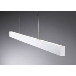 Paulmann 79889 LED závěsný lustr LED pevně vestavěné LED 36 W bílá (matná)
