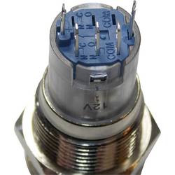 TRU COMPONENTS LAS2GQF-11ZE/B/12V/N/P, 701791 tlačítkový spínač antivandal, 16 mm, 250 V/AC, 3 A, 1 ks