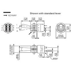 APEM 12146A 12146A páčkový spínač 250 V/AC 2 A 2x zap/zap IP54 s aretací 1 ks