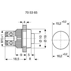 RAFI 110001001.0507, 1.10.001.001/0507 tlačítko, 15.2 mm, 250 V/AC, 0.7 A, 1 ks