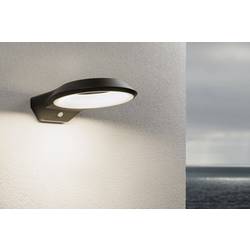 Paulmann Anela 94836 LED nástěnné světlo pevně vestavěné LED 12.5 W LED antracitová