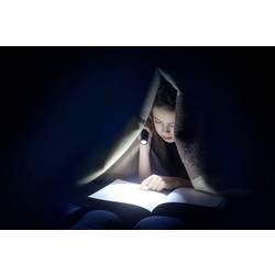 Ansmann Daily Use 150B 1600-0428 LED kapesní svítilna na baterii 150 lm 20 h 107 g